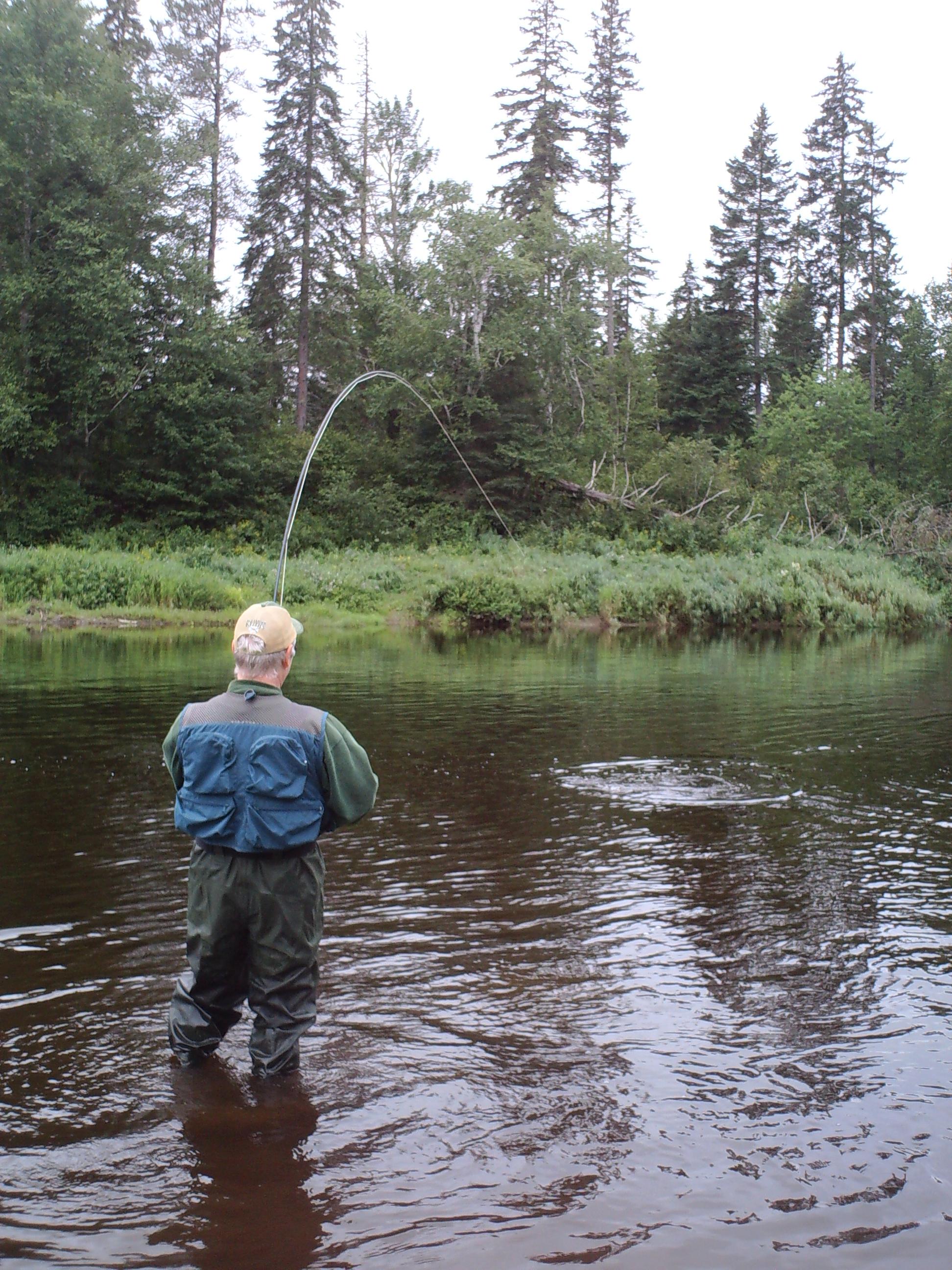 大西洋鲑钓场：New Brunswick 的 Cains River